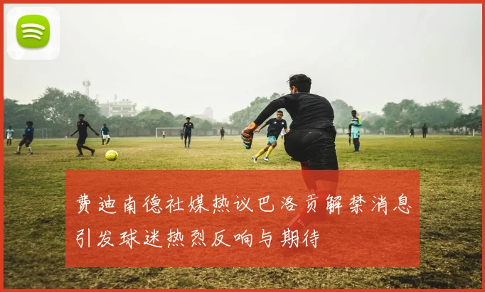 费迪南德社媒热议巴洛贡解禁消息引发球迷热烈反响与期待
